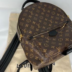Authentic Louis Vuitton Palm Springs MM